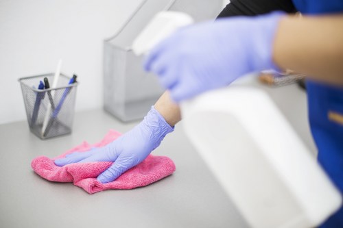 Professional cleaning process for pet odour removal on a fabric surface