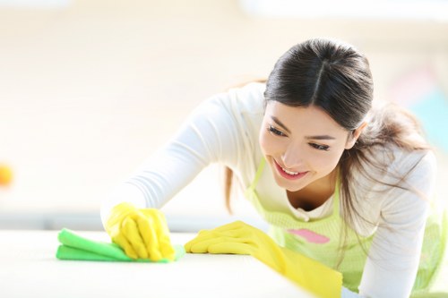 Deep carpet cleaning removing dirt and stains from carpet fibers